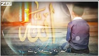 Islami .status
