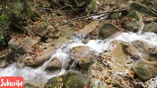 Relaxing nature video part2