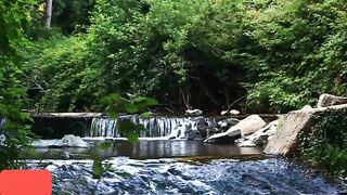 Relaxing nature video ( part 3)