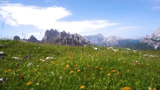 Calming Music With Beautiful Nature Videos | Stress Relief Music | Stop Anxiety & Depression