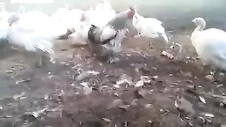 Как