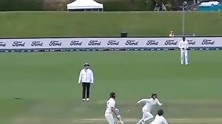 Cricket fans