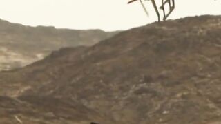 Race in desert