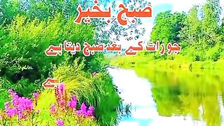 Sorha Rehman