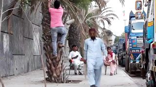 entertainment