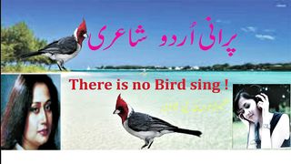 Urdu poetry