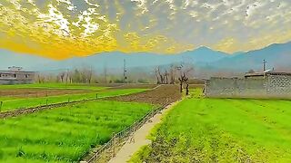 Beautiful nature