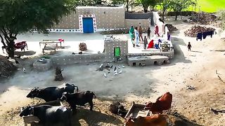Saqafat