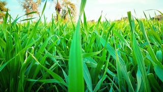 Beauty of village