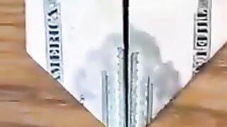 20 20   2020   20 20