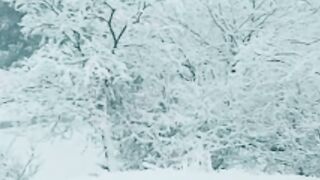 weather video
