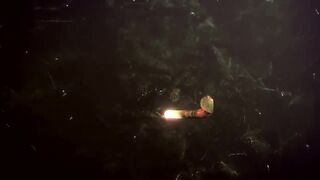 мода купальников микро бикини высокие девушки модели фигура чать 4