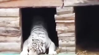 Усердный работник.)))