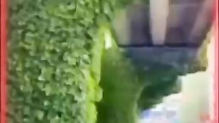Под мостом тоже бывает красиво.