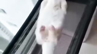 Спокойной всем ноченьки!))
