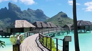 Travel the world 16