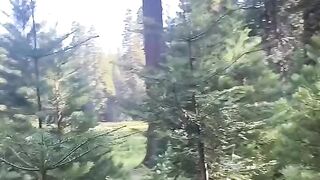 Travel the world 39