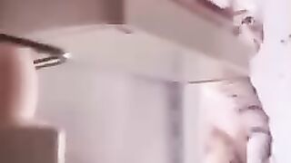 Забавные коты)))