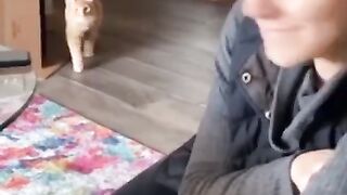 Крадущийся тигр.)))