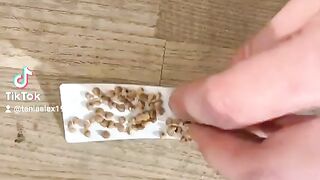 Когда за пакеты начали брать деньги