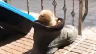Спят усталые игрушки...))