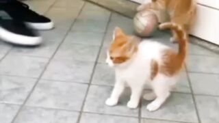Маленькие футболисты.)))