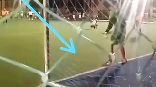 funny dog in football