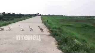Не успел