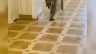 Когда подстригли когти.)))