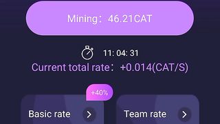 Catstar1