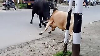 accident