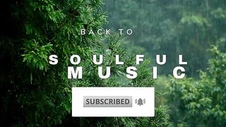 Zaalima Slowed+Reverb   Arijit Singh   Lofi Songs @soulfulmusic
