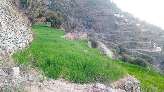.دیر دہ ننگیالو وطن