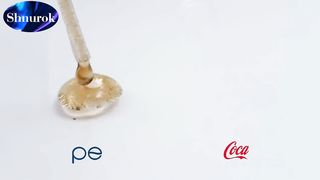 Pepsi or Coca Cola, which one do the ants like more? Time lapse.Video 2023.