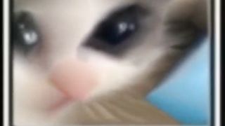 TikTok compilation