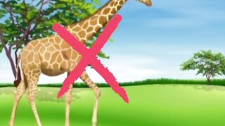Halal and Haram Animal in Islam#shorts#ytshorts#youtubeshorts#viralshorts#islam#halalfood????☪️