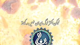 Islami Bayan