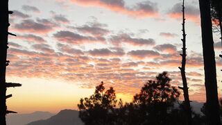 Our evening view
