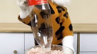 Cats make food 2023 "That Little Puff". Tiktok Compilation