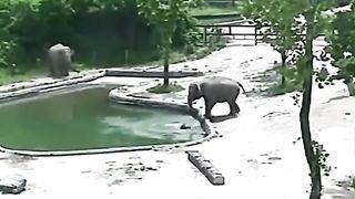 Better than humans