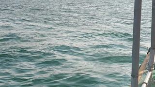 Abu Dhabi Offshore