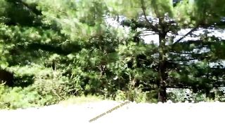 TORREST videos
