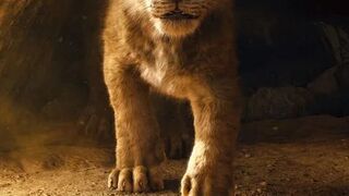 The lion king beat video clip