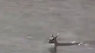 Mom save her son by slot her self