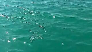 Fishing ????