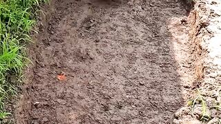 Good skill