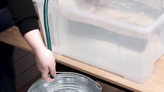 Good skill