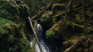 Wait for the second fall