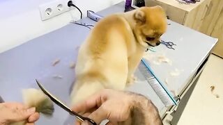 Best 2023 funny animals clips|If your life follow me
