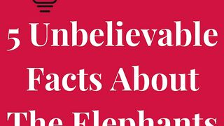 Discover the Marvels of Elephants | 5 Astonishing Facts You Need to Know